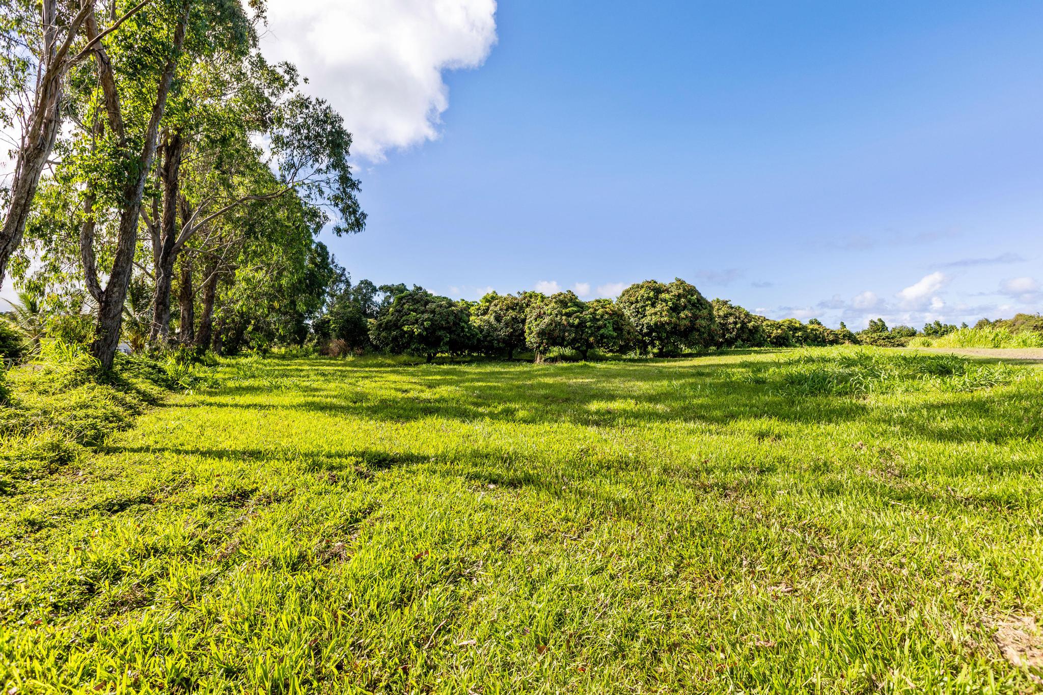 Land in Pepeekeo 4