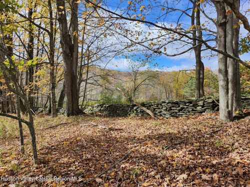 Tbd Dimmick Mountain Road, Fleischmanns, NY, 12430 | Card Image