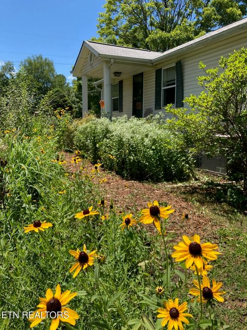231 Wright Rd, Oliver Springs, TN, 37840-2845 | Card Image