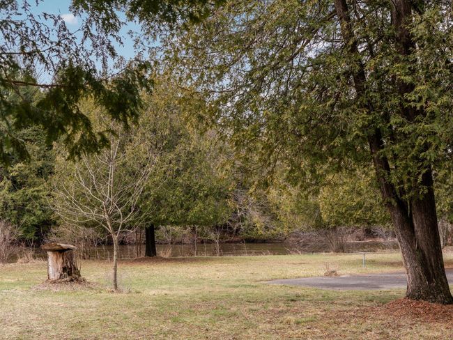 51-web-or-mls-A7406008 | Image 51