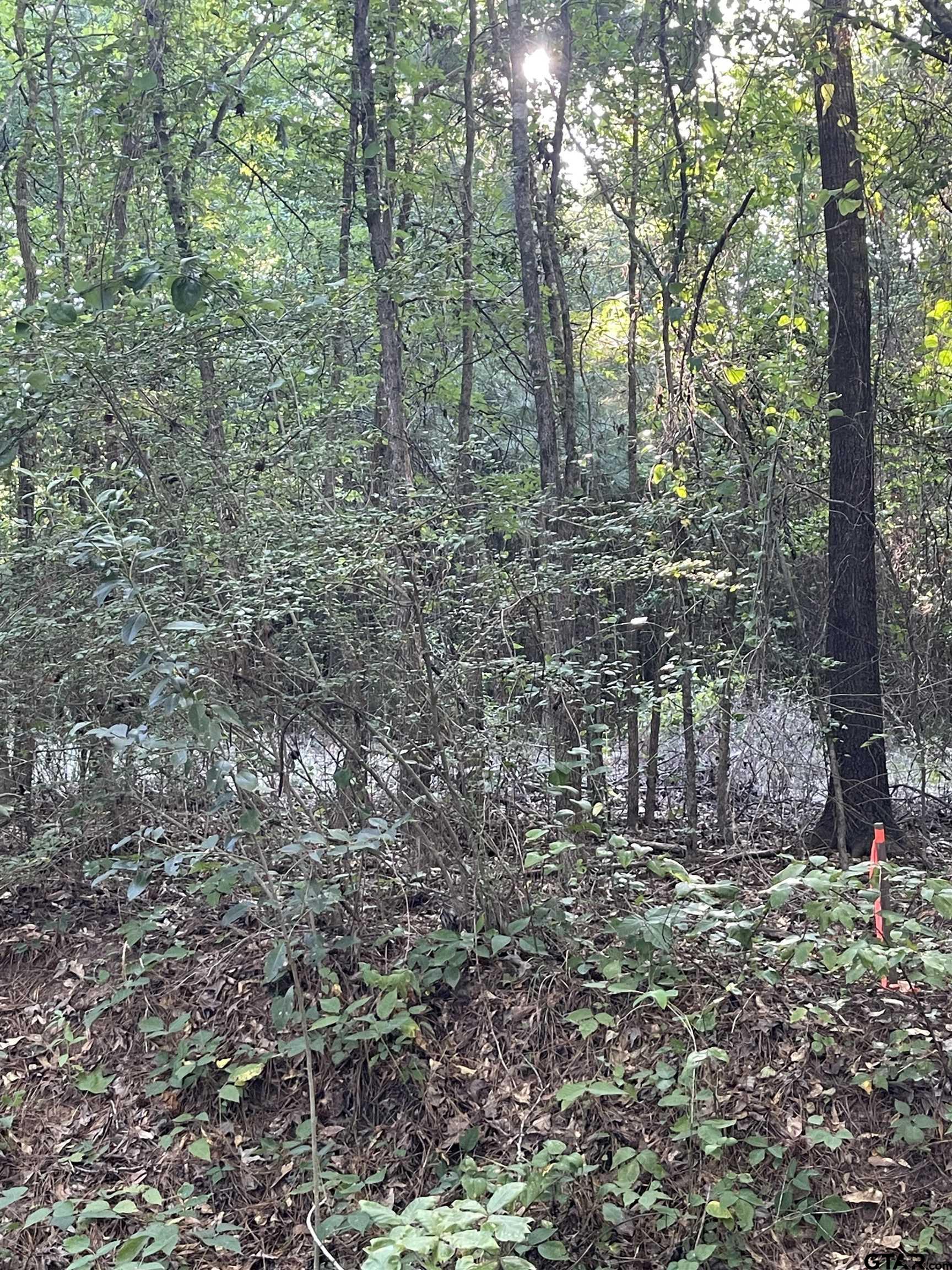 Land in Troup 3