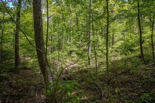 0 Kinzer Rd, Bainbridge, OH, 45612 | Card Image