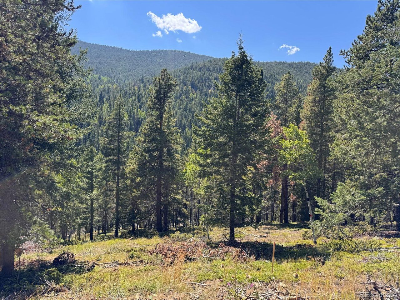 Land in Idaho Springs