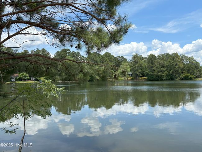 1040 Burning Tree Rd, House other with 4 bedrooms, 5 bathrooms and 3 parking in Pinehurst NC | Image 13