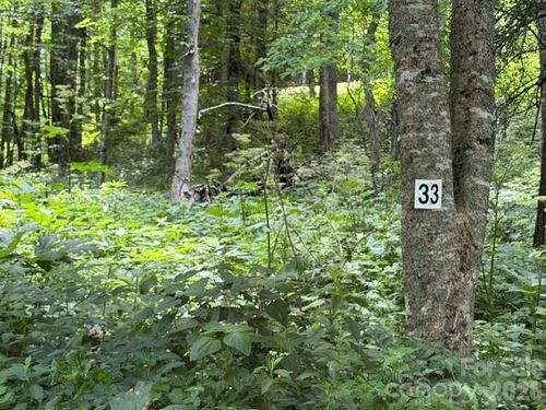 33-Lot 33 Toi Trail, Maggie Valley, NC, 28751 | Card Image