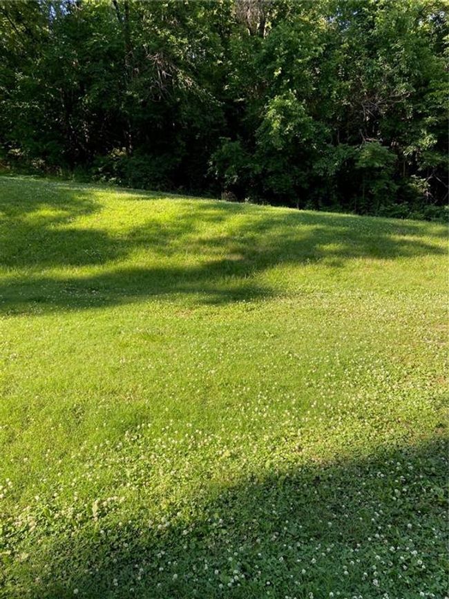 View of yard | Image 14