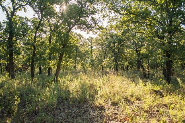 1020 Post Oak Rd, Home with 0 bedrooms, 0 bathrooms and null parking in Gordon TX | Image 25