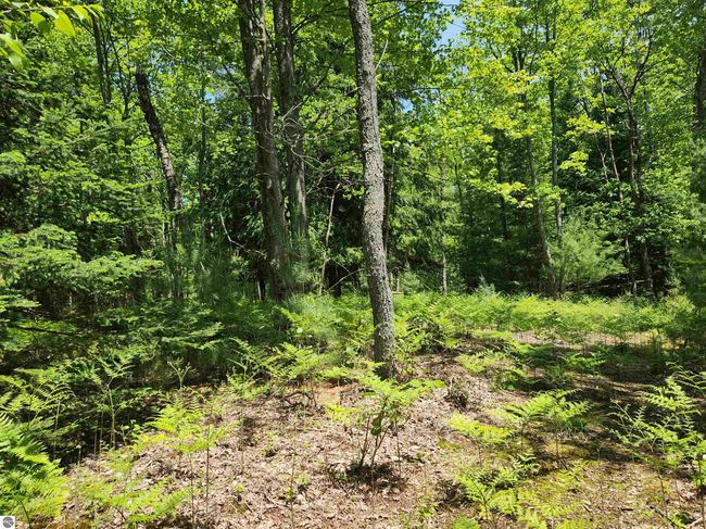 2867 Folks Rd Ne, Home with 0 bedrooms, 0 bathrooms and null parking in Kalkaska MI | Image 10