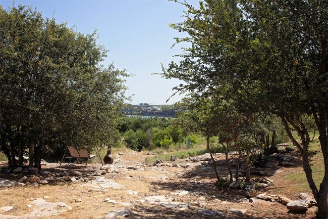 View of local wilderness | Image 23