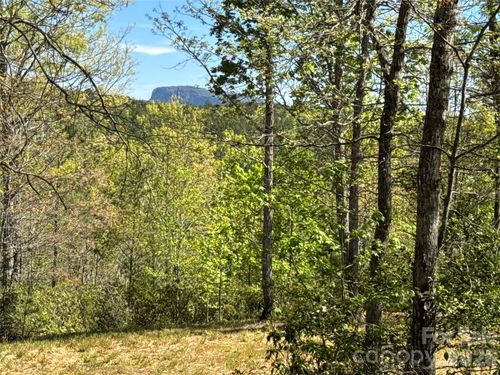 284 Bear Cliff Cir, Nebo, NC, 28761-0446 | Card Image