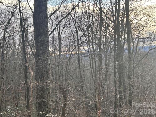 21-0 Pine Ridge Rd, Hendersonville, NC, 28792 | Card Image