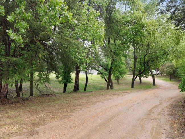 Welcome home - yard is full of mature trees to provide tons of shade | Image 12