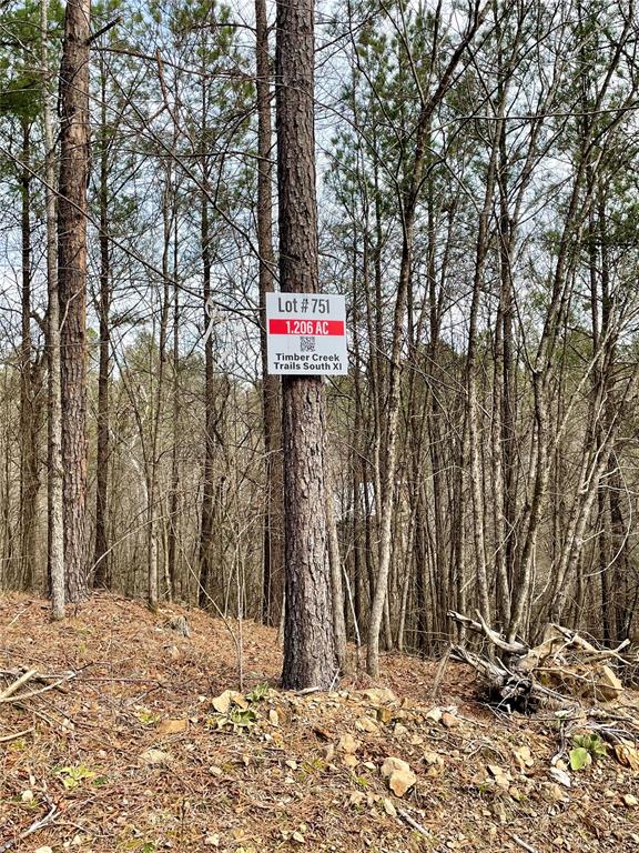 Land in Broken Bow 5