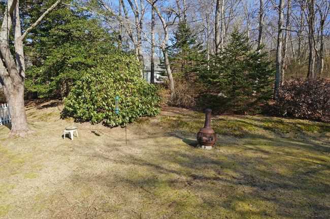 Back Yard | Image 4