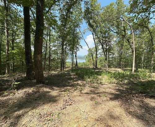 000 Palisades Drive, Bee Branch, AR, 72013 | Card Image