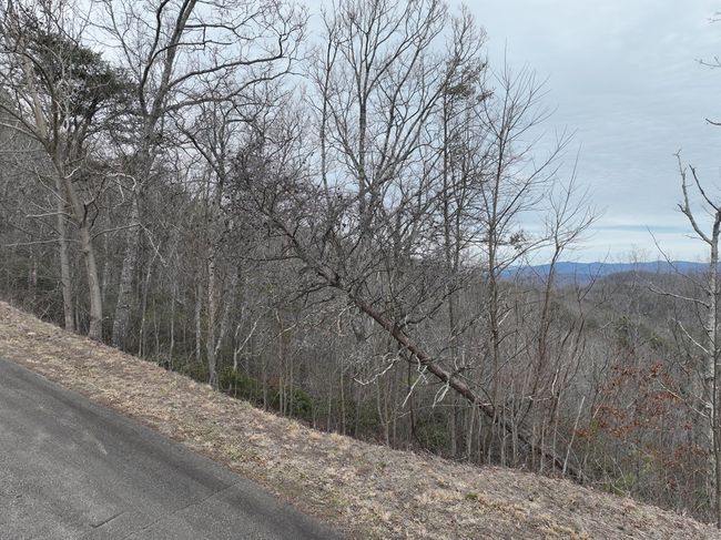 235 Andes Rdg, Home with 0 bedrooms, 0 bathrooms and null parking in Ellijay GA | Image 23
