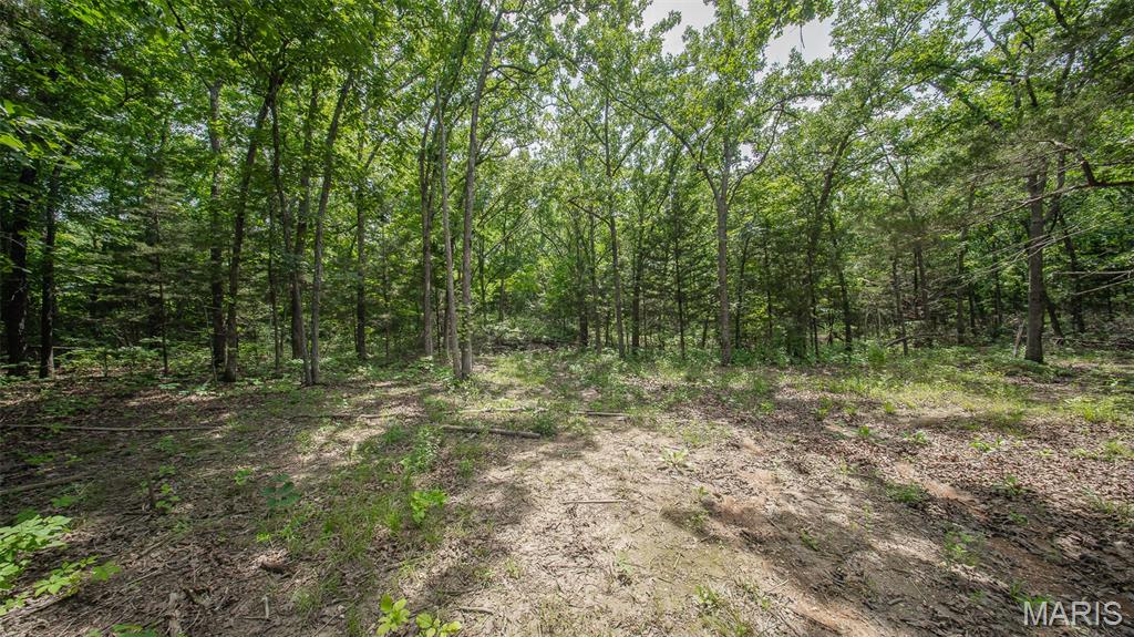 Land in Rolla