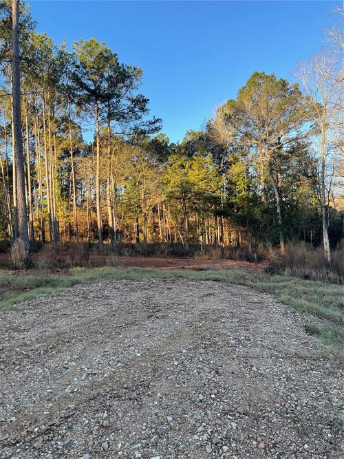 11345 Annie Creek Drive, Willis, TX, 77378 | Card Image