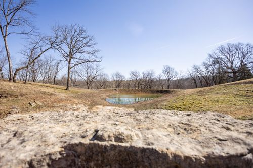 1029 Riverview Rd, Clever, MO, 65631-6282 | Card Image