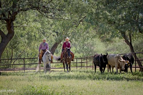 3155 W Elephant Head Rd, Amado, AZ, 85645 | Card Image