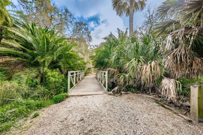 Hammock Park | Image 63