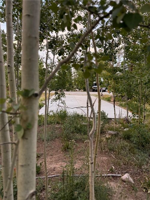 228 Sunshine Loop, FAIRPLAY, CO, 80440-5403 | Card Image