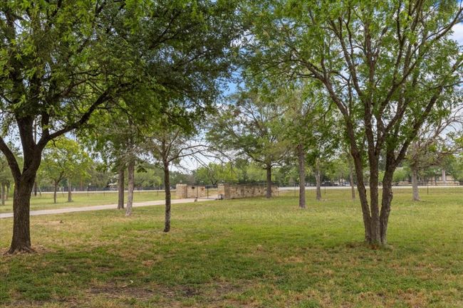 View of green lawn | Image 22