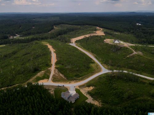 11-155 Heritage Lake Ln, COLUMBIANA, AL, 35051 | Card Image