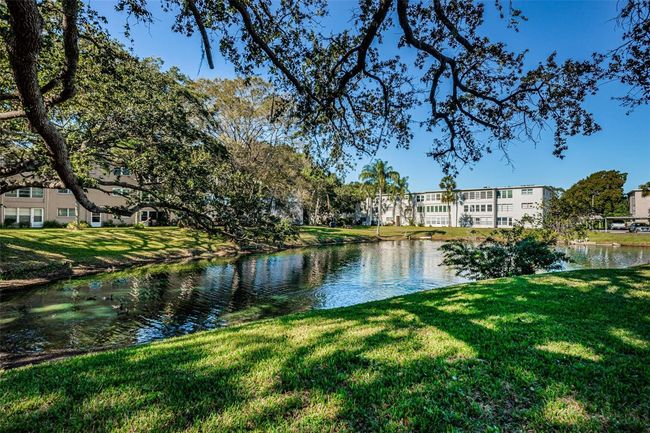 APT-303 - 952 Virginia St, Condo with 2 bedrooms, 2 bathrooms and null parking in DUNEDIN FL | Image 41
