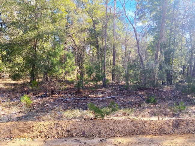LOT 2 Neilsen Avenue, Home with 0 bedrooms, 0 bathrooms and null parking in Interlachen FL | Image 3