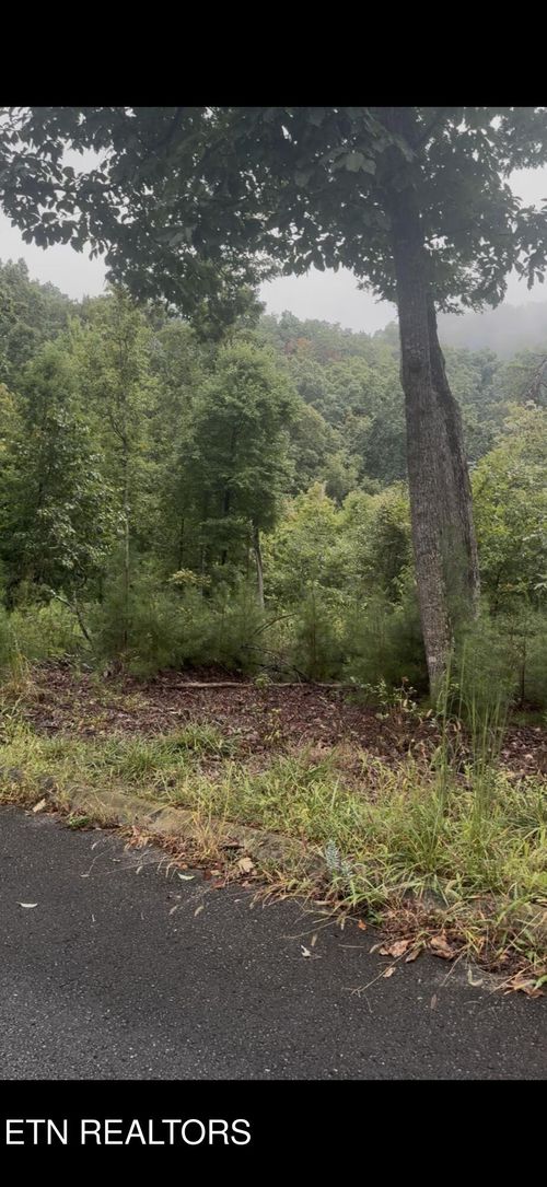 2029 Duck Cove Dr, Knoxville, TN, 37922-6192 | Card Image