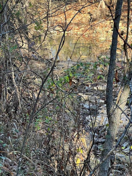 001-08378-001 W Hwy 62, Pyatt, AR, 72672 | Card Image