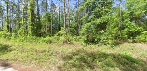 0 Ne 156th Pl, FORT MC COY, FL, 32134 | Card Image
