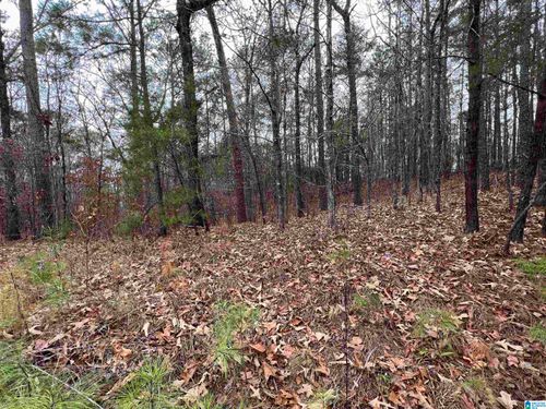 35-0 Mountain View Cir, Mc Calla, AL, 35111 | Card Image