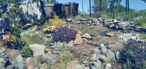 7203 Amador Ct, Corning, CA, 96021 | Card Image