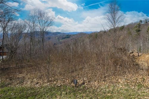 VR-19 Fernwood Trail, Elk Park, NC, 28604 | Card Image
