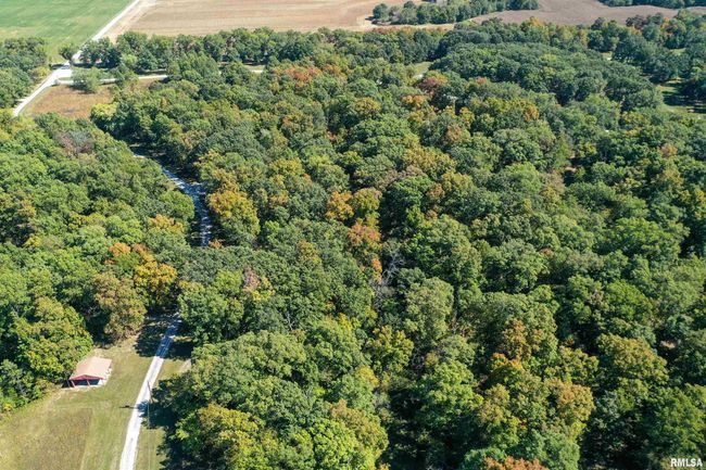 Lot 40 B Deer Park Drive, Home with 0 bedrooms, 0 bathrooms and null parking in Dix IL | Image 12