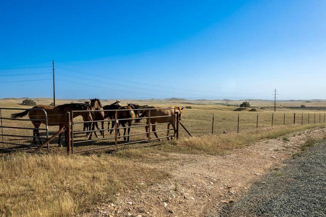 0 S Gulch Rd, Home with 0 bedrooms, 0 bathrooms and null parking in Valley Springs CA | Image 26