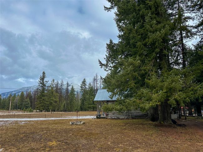 View of yard featuring a forest view | Image 26
