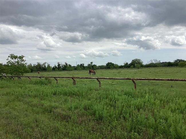 Racetrack | Image 27