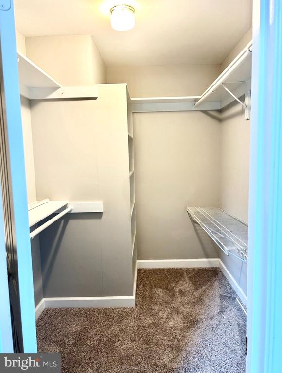 Residential Lease in ALEXANDRIA 5
