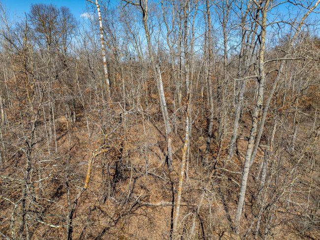 7 Ski Chalet Drive, Home with 0 bedrooms, 0 bathrooms and null parking in Breezy Point MN | Image 11