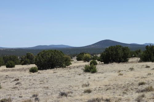 36 County Road 8249, Concho, AZ, 85924 | Card Image