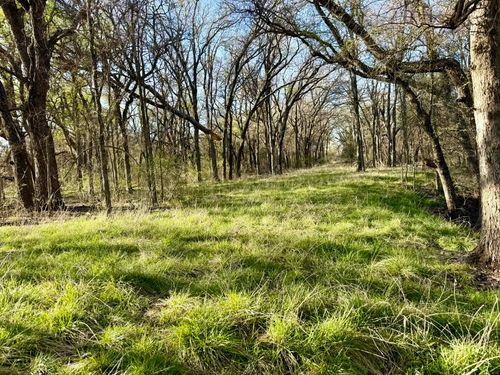 TBD 20.02 acres Cr 328, Dublin, TX, 76446 | Card Image