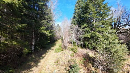 0 Lot 1&2 W Elk Hill Rd, Elma, WA, 98541 | Card Image