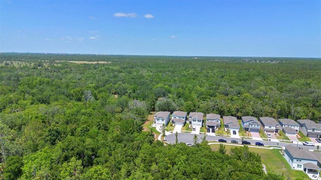 1105 Grand Hammock Ct, House other with 4 bedrooms, 3 bathrooms and null parking in KISSIMMEE FL | Image 41