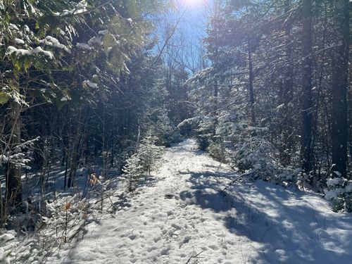 553 Corinna Road, Saint Albans, ME, 04971 | Card Image