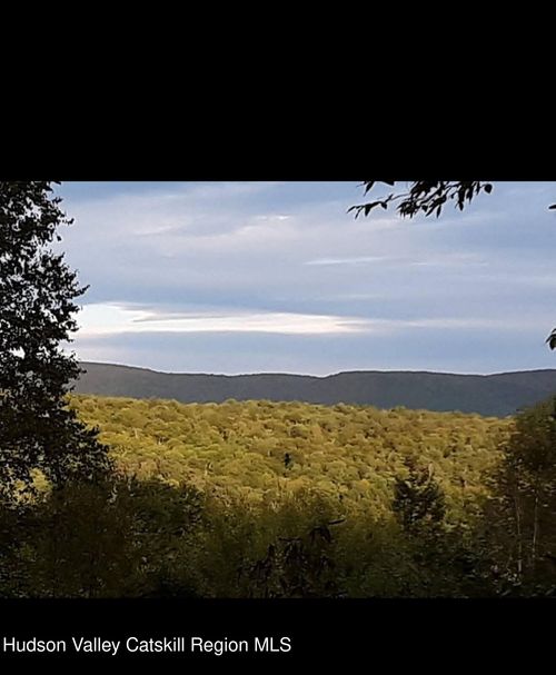 0 Black River Rd, Stephentown, NY, 12169 | Card Image