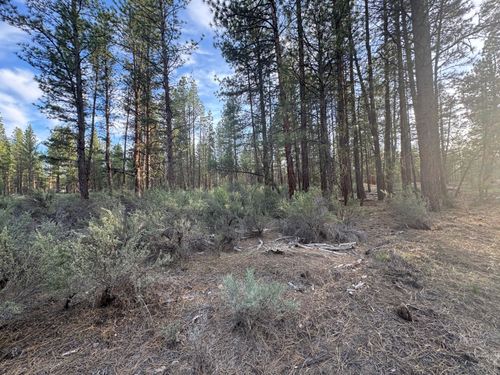 13-0 Silver Fox Ln, Chiloquin, OR, 97624 | Card Image