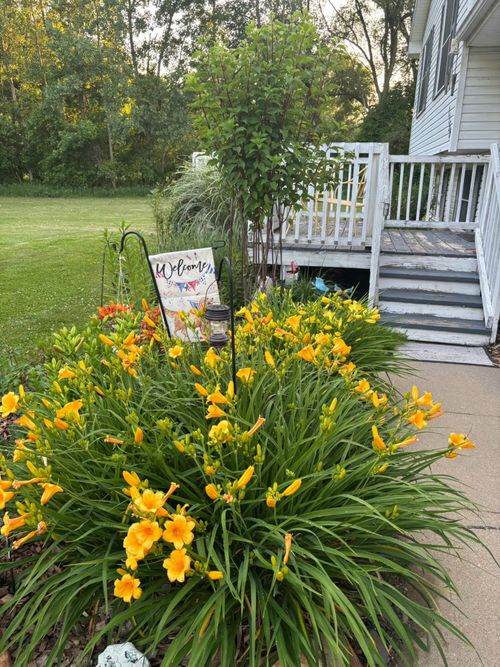 1150 Losey Rd, Rives Junction, MI, 49277-9762 | Card Image